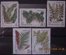 RUSSIA ~ 1987 ~ S.G. NUMBERS 5773 - 5777, ~ FERNS. ~ MNH #03649 - Unused Stamps