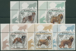 Bund 1996 Jugend: Tiere Hunde Hunderassen 1836/40 Ecke 1 TOP-ESST Bonn (E2527) - Used Stamps