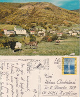AK  "St.Antonio (Val Morobbia)"  Lugano - Bystrice CZ      Ca. 1970/2002 - Briefe U. Dokumente