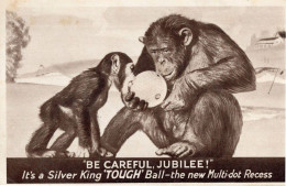 Gorilla Monkey Ape China Porcelain Bowl Antique Advertising Postcard - Advertising