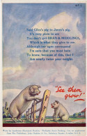 Bran & Middlings Farm Cattle Pig Food Antique Advertising Postcard - Publicité