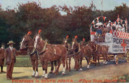 Cape Town Hospital Fete Pickfords Removals South Africa Advertising Old Postcard - Pubblicitari