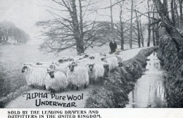 Alpha Pure Sheep Wool Hosiery & Underwear Old Advertising Postcard - Advertising