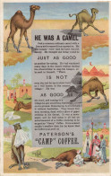 Patersons Camp Coffee Camel Old Advertising Postcard - Publicité