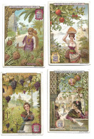 S 630, Liebig 6 Cards, Fruits Et Femmes (ref B15) - Liebig