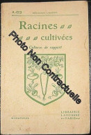 Racines Cultivées N° 63 : Cultures De Rapport - Ohne Zuordnung