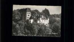 11114017 Lampenberg Schloss Wildenstein - Otros & Sin Clasificación