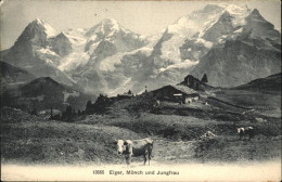 11114001 Moench_BE Eiger Jungfrau Kuehe - Other & Unclassified