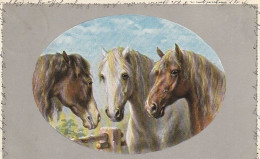 AK 3 Pferde - Künstlerkarte - München 1905  (69479) - Caballos
