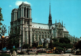 Paris - Cathédrale Notre-Dame Vue Du Square Viviani - Notre-Dame De Paris