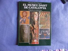 El Museu D'art De Catalunya - Art