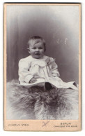 Fotografie Wilhelm Stein, Berlin, Chaussee Strasse 65 /66, Kindchen Im Kleidchen Sitzt Auf Einem Pelz  - Personnes Anonymes