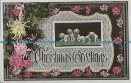 R006863 Christmas Greetings. Puppies. Aristophot. RP. 1910 - Monde