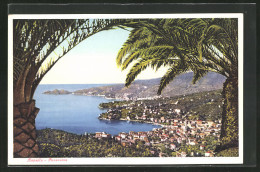 Cartolina Rapallo, Ortsansicht Mit Palmen  - Andere & Zonder Classificatie