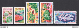 1963 Cote Francaise Des Somalis - Catalogo Yvert N. 316-317 + Posta Aerea 34-36 - Fauna Corallina - 5 Valori - MNH** - Poissons