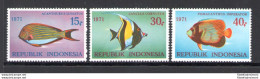1971 INDONESIA, Stanley Gibbons N.1294-96 - Pesci - MNH** - Fische
