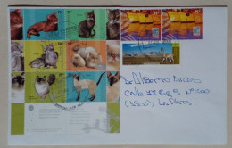 Argentine - Enveloppe Diffusée Sur Le Thème Des Chats (2005) - Domestic Cats