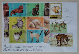 Argentine - Enveloppe Diffusée Sur Le Thème Des Chats (2007) - Domestic Cats
