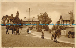 R006931 New Forest Ponies. Photochrom. No V3149. 1957 - Monde
