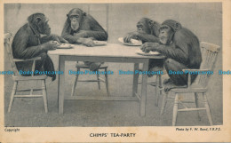 R006939 Chimps Tea Party. F. W. Bond - Monde