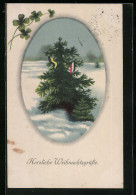 AK Herzliche Weihnachtsgrüsse, Weihnachtstanne Mit Fahnen Zweibund  - Guerre 1914-18