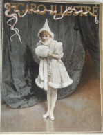PLANCHE NOVEMBRE 1894 APRES TABLEAU DE LUCIUS ROSSI FEMME EN FOURRURE SUR SCENE - Sonstige & Ohne Zuordnung