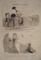 LITHOGRAPHIE DE DAUMIER 19è PHYSIONOMIES DE L' ASSEMBLEE SAUVAGE BINEAU - Other & Unclassified