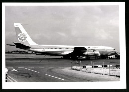 Fotografie Flugzeug Boeing 707, Passagierflugzeug Der BWIA International, Kennung 9Y-TEJ  - Luftfahrt