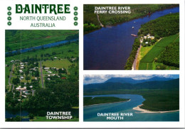 19-5-2024 (5 Z 31) Australia - QLD - Daintree Rainforest - Far North Queensland