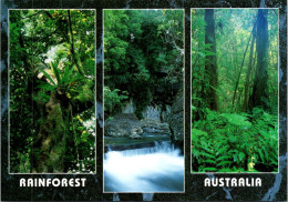 19-5-2024 (5 Z 31) Australia - Australia Rainforest - Arbres