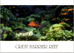19-5-2024 (5 Z 31) Australia - QLD - Great Barrier Reef (UNESCO) Fish (2 Postcards) - Poissons Et Crustacés