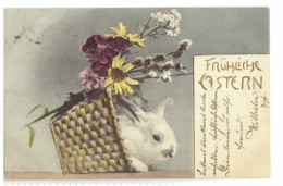 Österreich - Postkarten FRÜHLICHE STERN  1905 - Other & Unclassified
