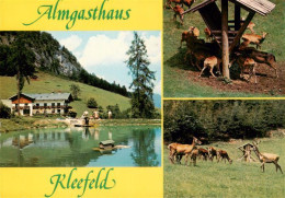73946988 Strobl_Wolfgangsee_AT Almgasthaus Kleefeld Wildgehege - Autres & Non Classés