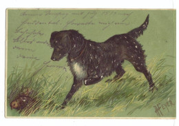 Österreich - Postkarte Hund, Geprägte Grafik. - Other & Unclassified