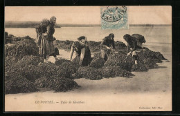 CPA Le Portel, Types De Moulières, Krebsfischerinnen Bei Der Arbeit  - Le Portel