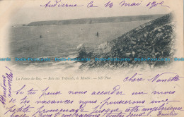 R007317 La Pointe Du Raz. Baie Des Trepasses Le Menhir. ND. 1902 - Monde