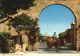 72564642 Gozo Malta Pferdewagen  Gozo Malta - Malta