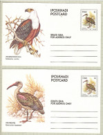 Ciskei 1981, Bird, Birds, Postal Stationery, Eagle, Parrot, Set Of 10v, Pre-Stamped Post Card, MNH** - Adler & Greifvögel