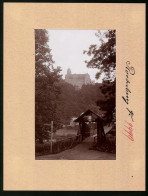 Fotografie Brück & Sohn Meissen, Ansicht Rochsburg, Partie Am Schwankenden Steg Mit Schloss Rochsburg  - Places