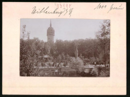 Fotografie Brück & Sohn Meissen, Ansicht Wittenberg, Partie In Den Anlagen Mit Blick Auf Den Schlossturm  - Orte