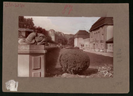 Fotografie Brück & Sohn Meissen, Ansicht Bad Elster, Partie Am Albertbad Mit Buchsbaum  - Lieux