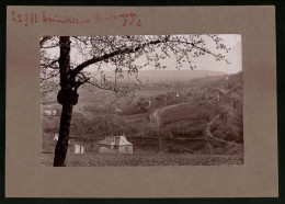 Fotografie Brück & Sohn Meissen, Ansicht Niederwartha, Blick Auf Den Ort Während Der Baumblüte  - Lieux