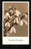 AK Ostergrüsse Mit Blühenden Schneeglöckchen Und Weidenkätzchen  - Sonstige & Ohne Zuordnung