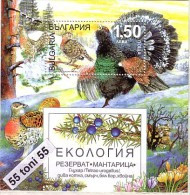 2013  Ecology Reserve Mantaritsa (capercaillie, Wildcat, Spruce, Juniper, Pine. S/S-MNH BULGARIA / BULGARIE - Unused Stamps