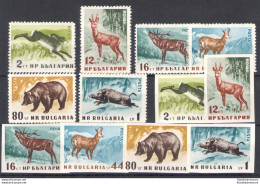1958 Bulgaria - Catalogo Yvert N. 921-26 - La Serie Dentellata E La Serie Non Dentellata - Animali Diversi - 12 Valori - - Andere & Zonder Classificatie