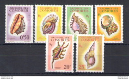 1962 Comores - Catalogo Yvert N. 19-24 - Conchiglie - 6 Valori - MNH** - Fische