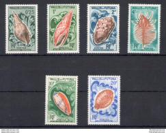 1962-63 Wallis Et Futuna - Yvert N. 162-167 - Conchiglie - 6 Valori - MNH** - Vissen