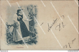 Ai616  Cartolina Vaudoise Costume 1900 - Sonstige & Ohne Zuordnung