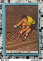 Bh Figurina Cartonata Nannina Cicogna Ciclismo Cycling Anni 50 T.domenicali - Catalogus