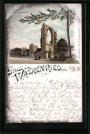 Lithographie Walkenried, Ruine Kloster Walkenried  - Autres & Non Classés